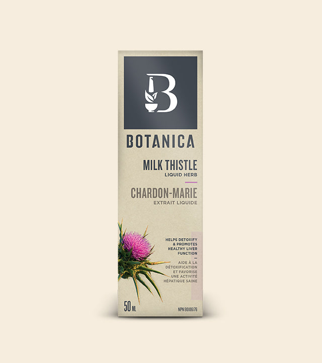 6 onces 2 pièces - Flacon de hanche en acier inoxydable avec entonnoir 6 onces 2 pièces - Flacon de hanche en acier inoxydable avec entonnoir