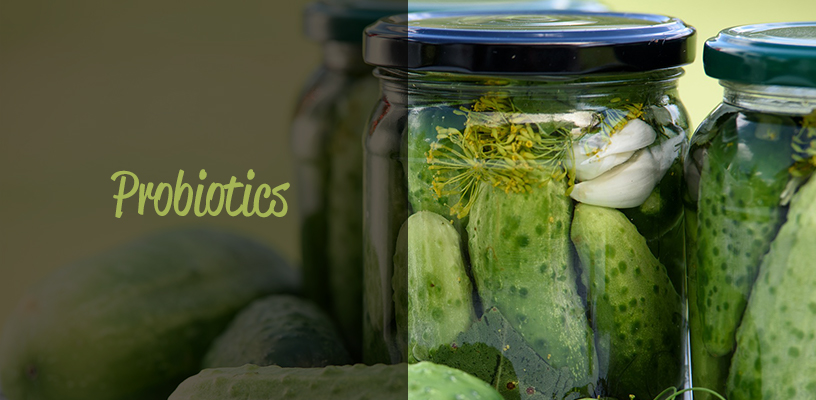 Probiotics from fermented foods