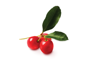 Acerola Cherry