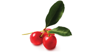 acerola cherry ingredient photo by Botanica Health