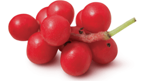 schisand berry ingredient photo by Botanica Health