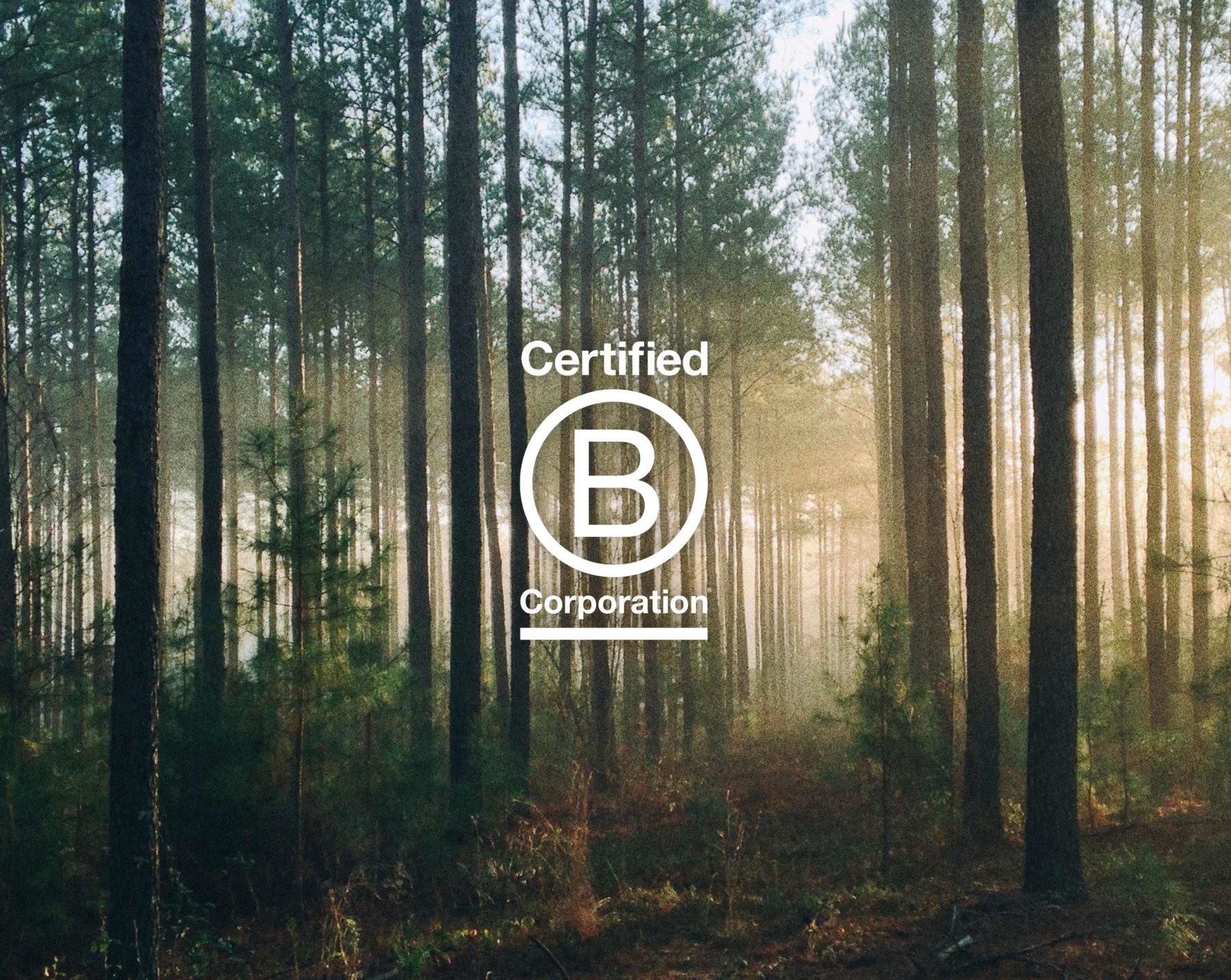 Certified B Corporation logo against forest photo backdrop