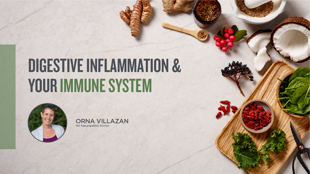 Digestive inflammation and your immune system