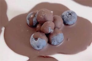 blueberry chocolate bites - featured image