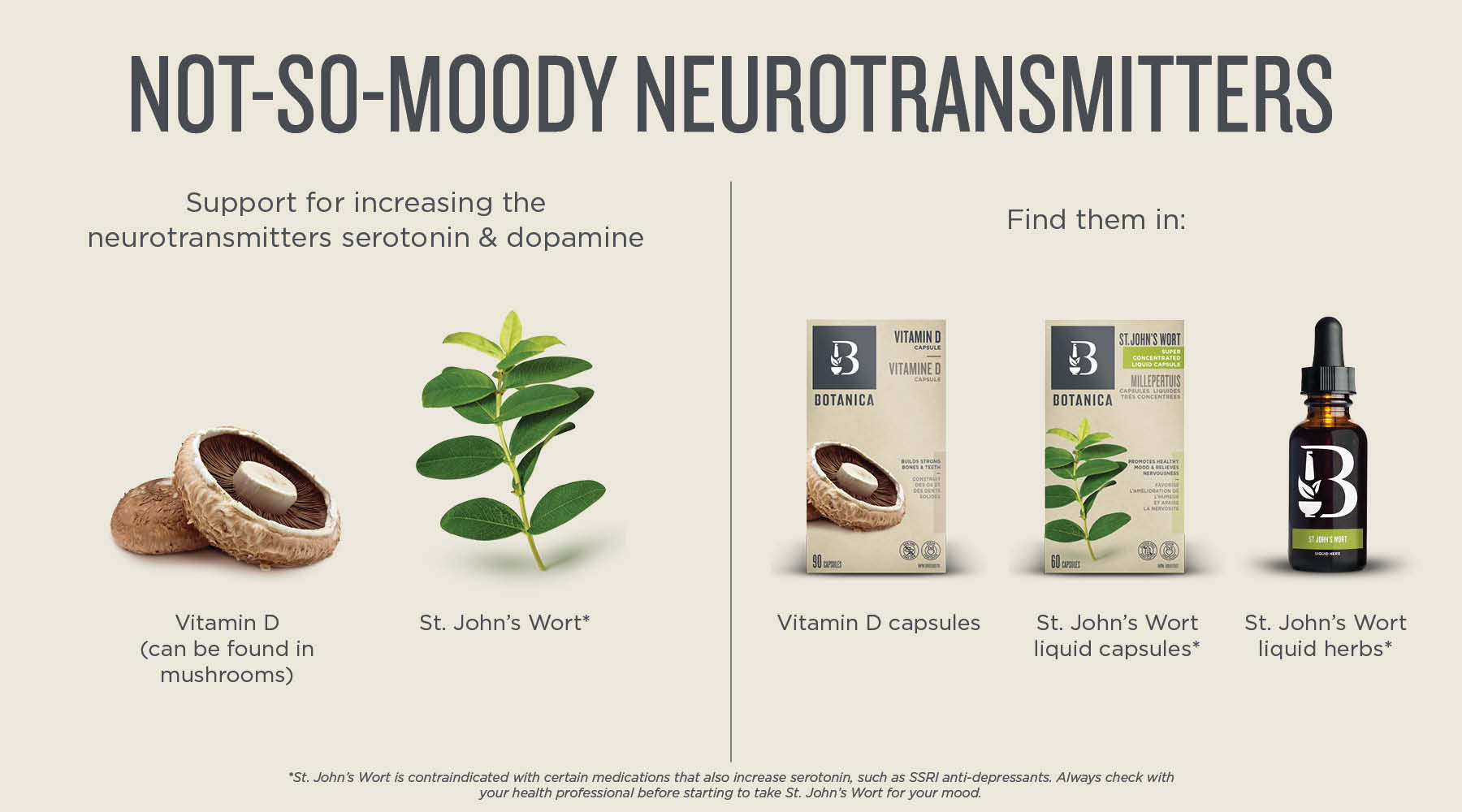 stress and mental health - neurotransmitters