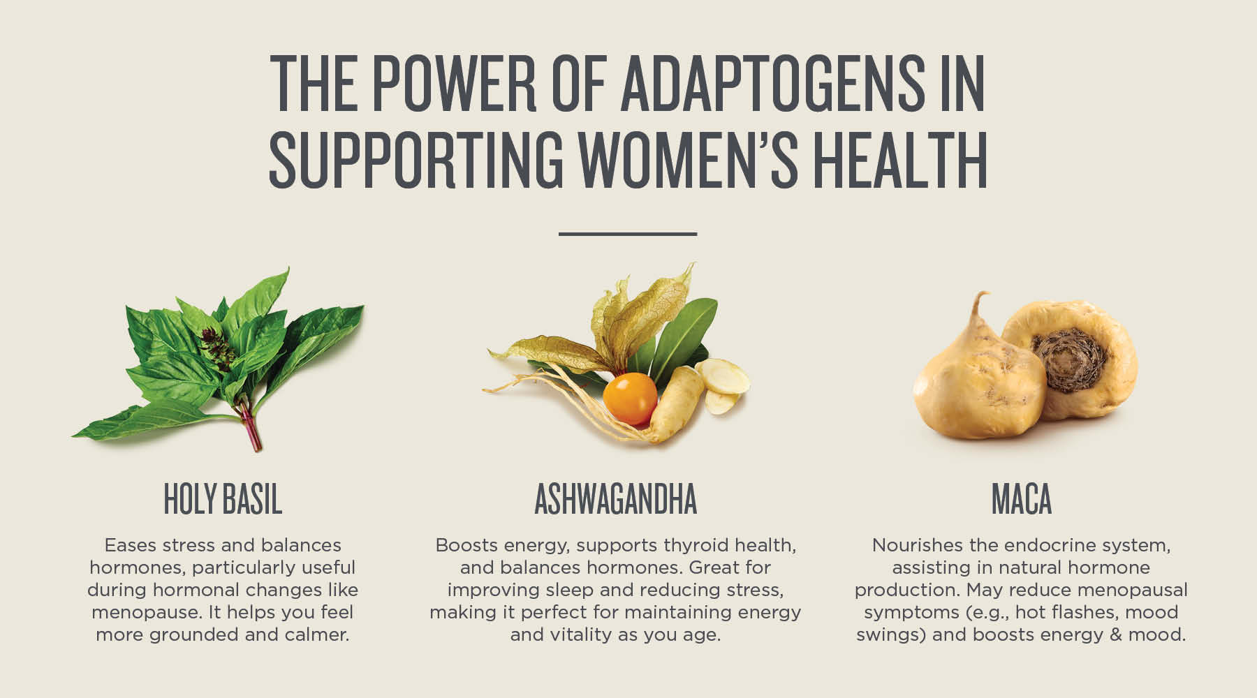 Adaptogens for aging well